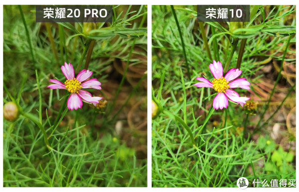 AI色彩得到了优化