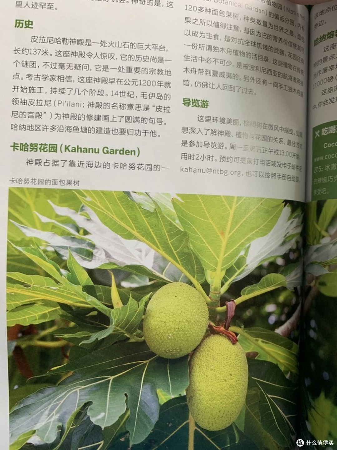 夏威夷9天7晚忘带驾照的欧胡、大岛、茂宜三岛游