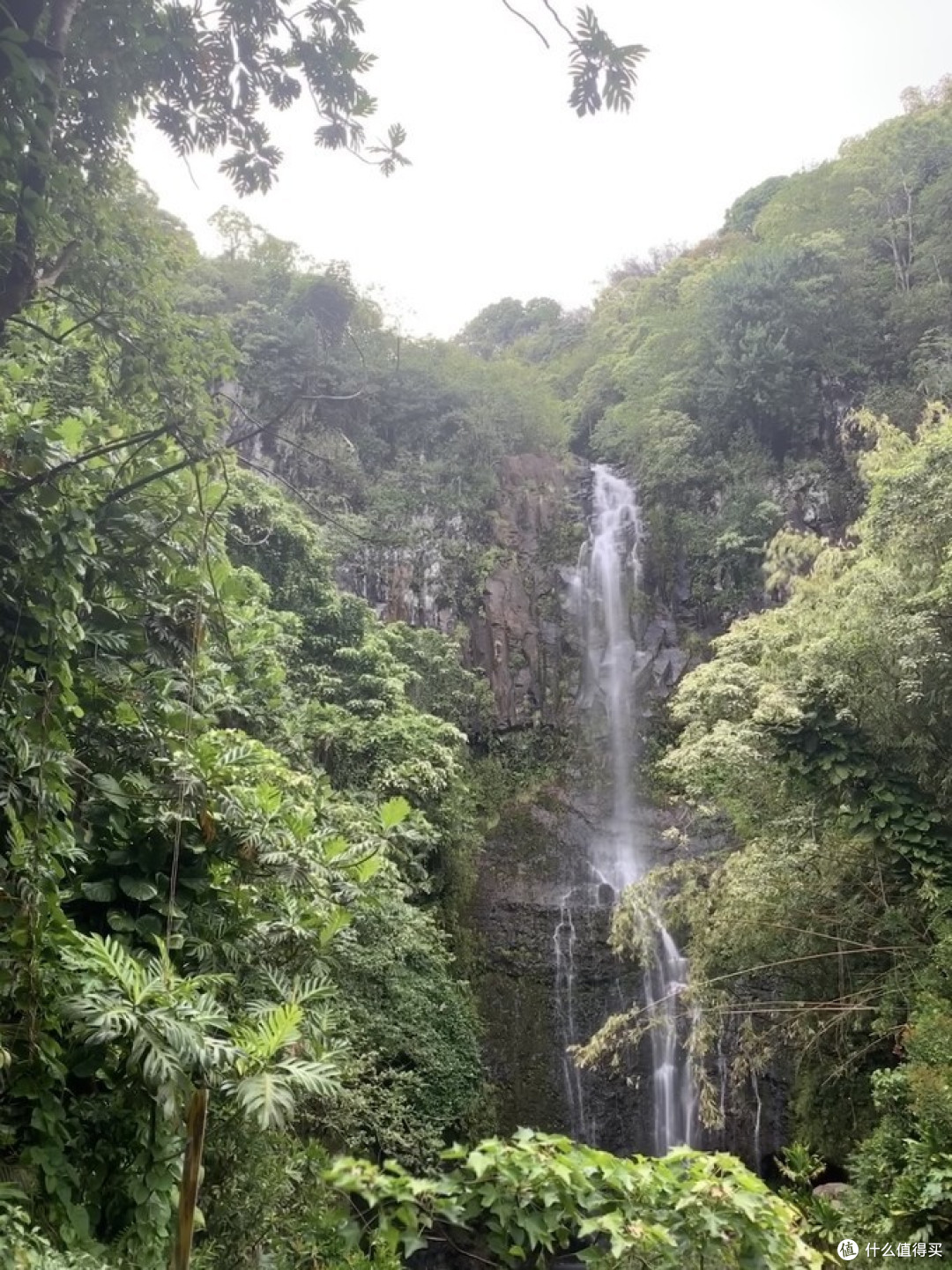 夏威夷9天7晚忘带驾照的欧胡、大岛、茂宜三岛游