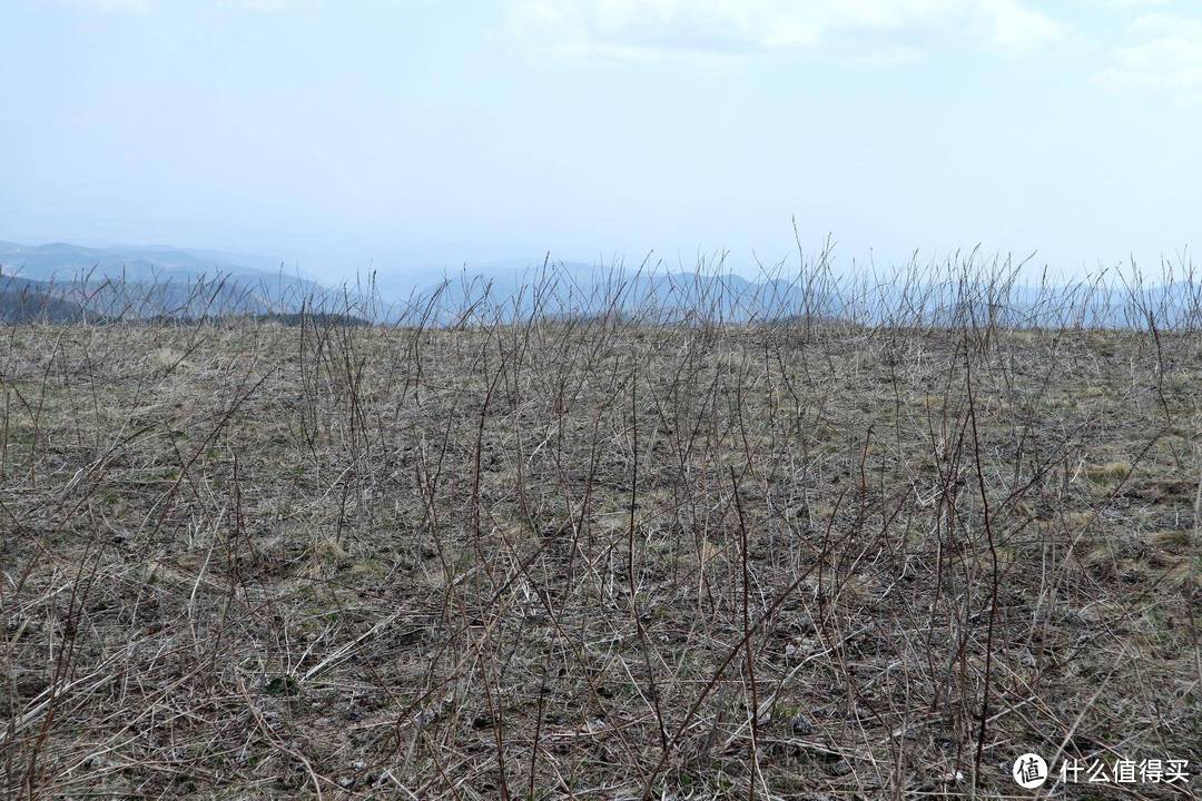 你知道吗，这里有华北地区的最后一片原始森林