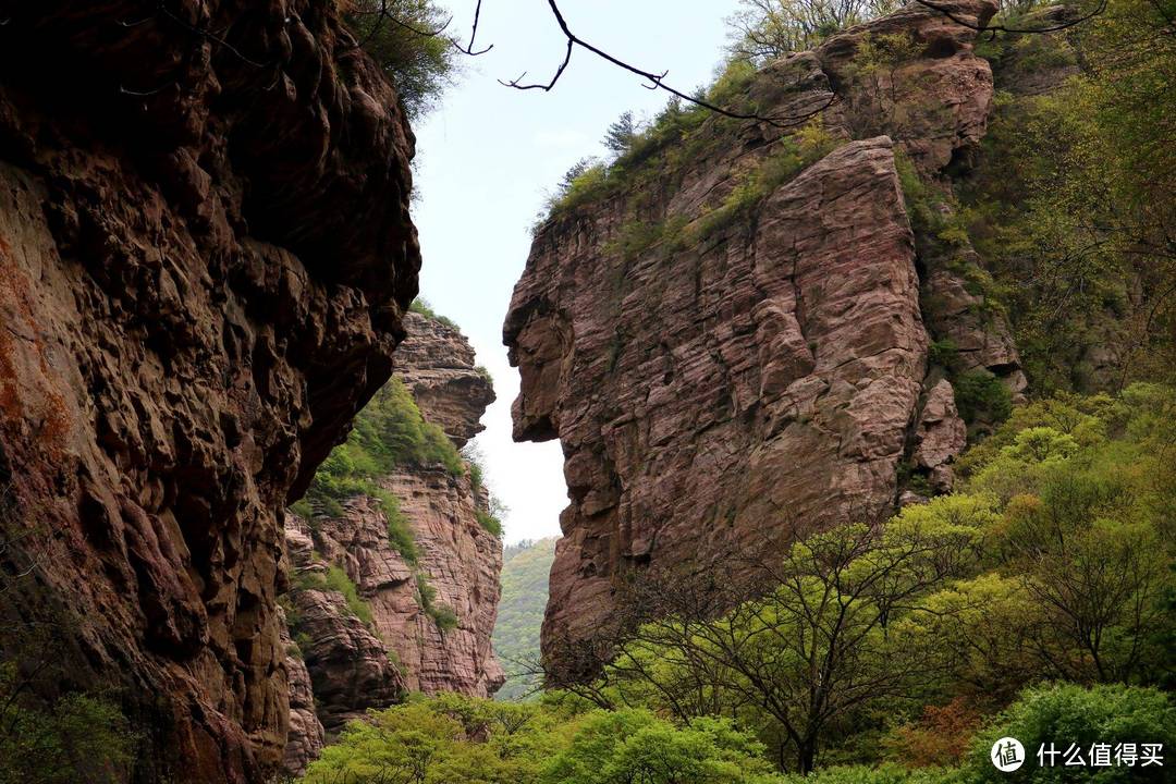 你知道吗，这里有华北地区的最后一片原始森林