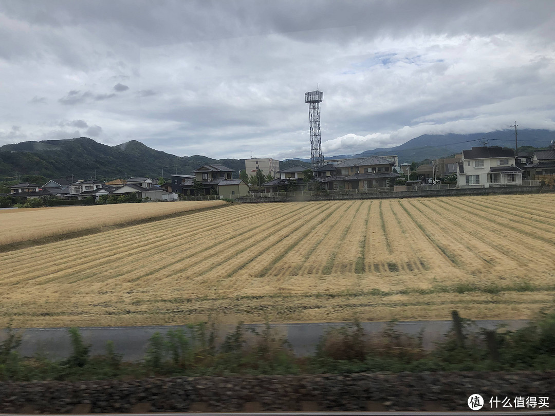 没有游客的日本“景德镇”