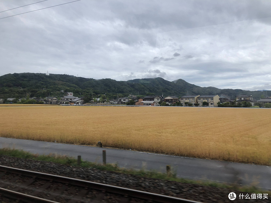 没有游客的日本“景德镇”