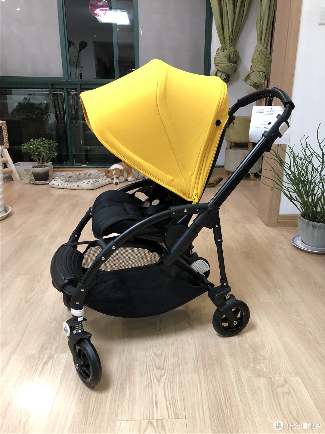 Cybex Cloud Q &Bugaboo Bee 5 轻晒