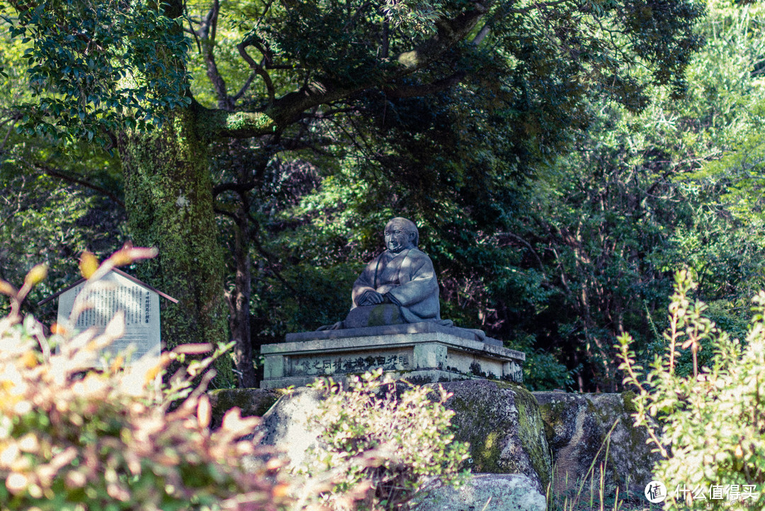 故地重游，漫步嵯峨野