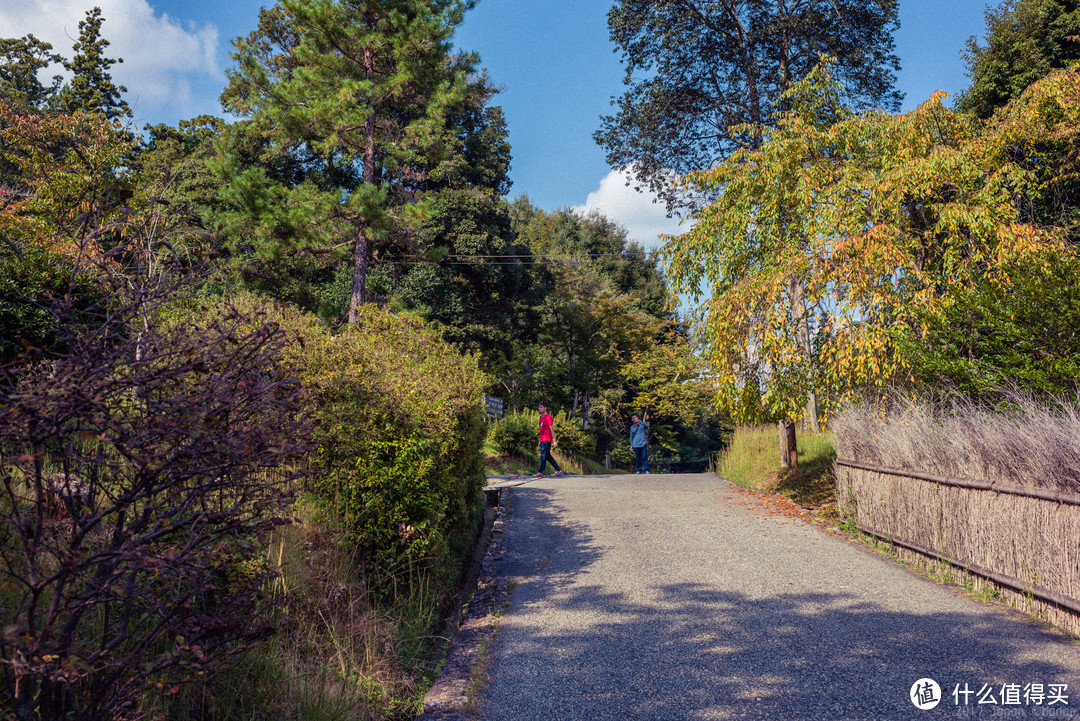 故地重游，漫步嵯峨野