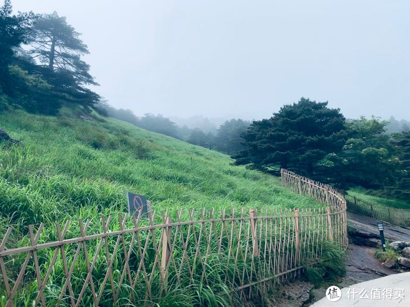 黄山也有田园风！