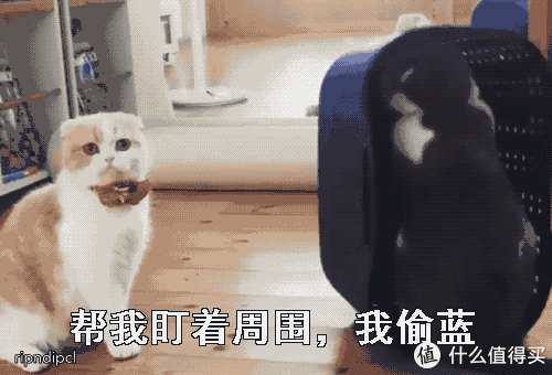 宜家沙发评测：自从买了沙发以后，妈妈老是问我是不是不喜欢女孩子！