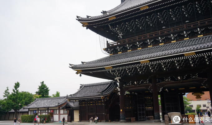 关西打卡—京都|奈良|大阪