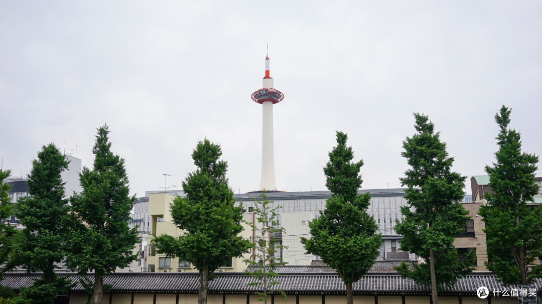 关西打卡—京都|奈良|大阪