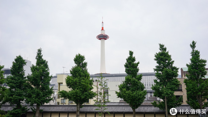 关西打卡—京都|奈良|大阪