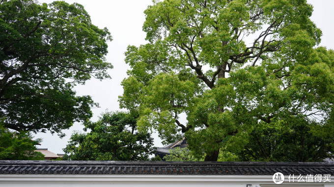 关西打卡—京都|奈良|大阪