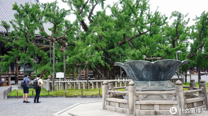 关西打卡—京都|奈良|大阪