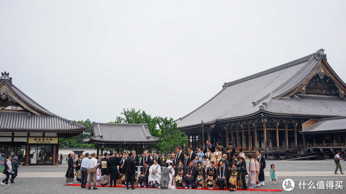 关西打卡—京都|奈良|大阪