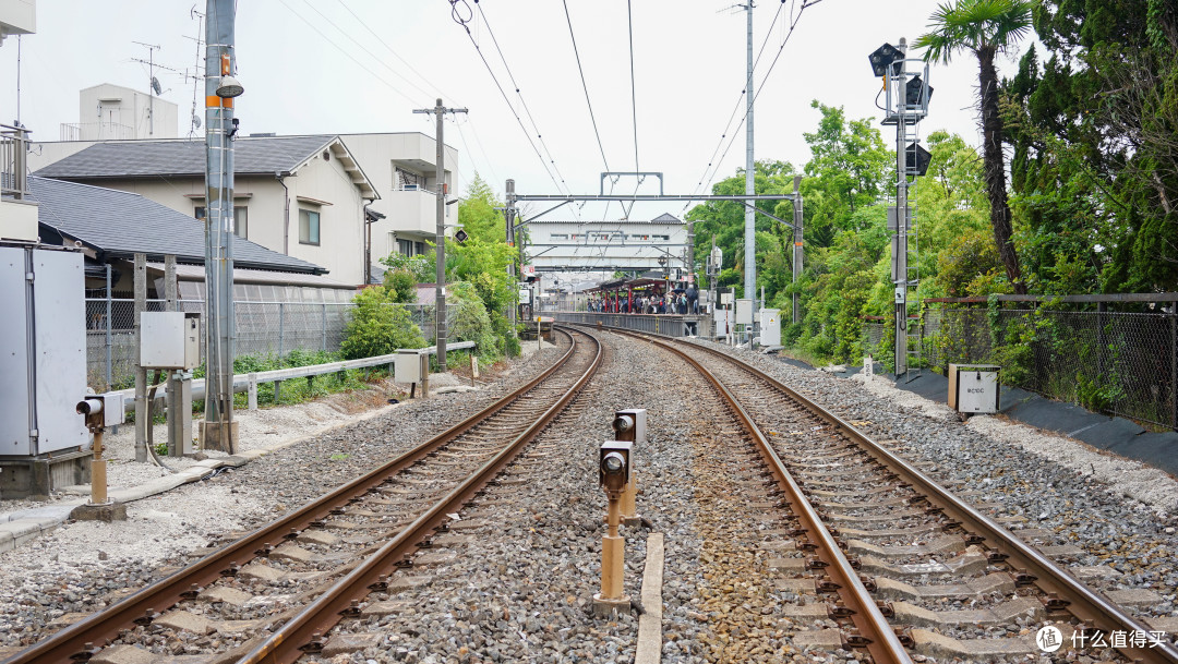 关西打卡—京都|奈良|大阪