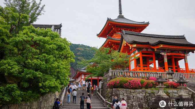 关西打卡—京都|奈良|大阪