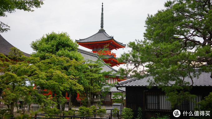 关西打卡—京都|奈良|大阪