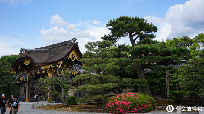 关西打卡—京都|奈良|大阪