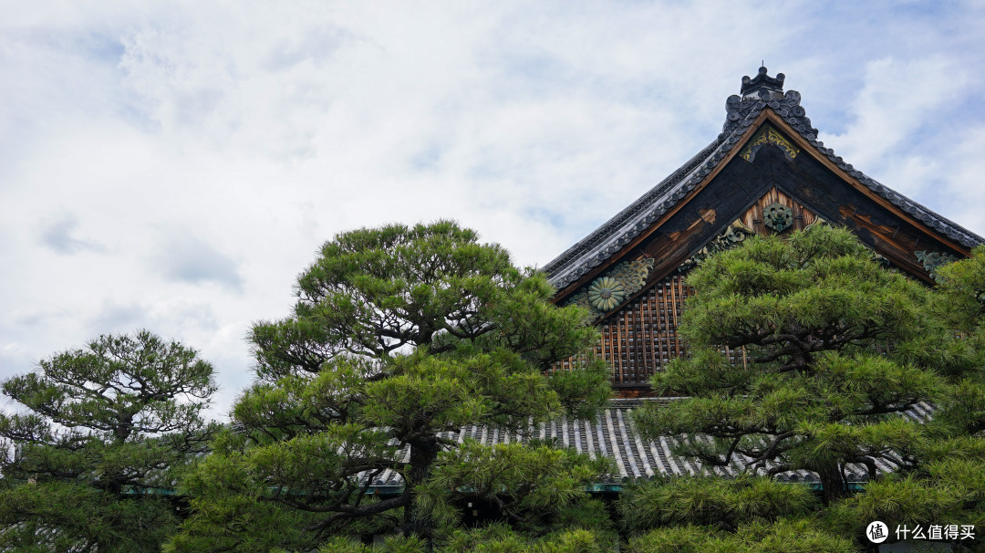 关西打卡—京都|奈良|大阪