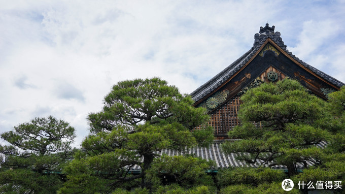 关西打卡—京都|奈良|大阪