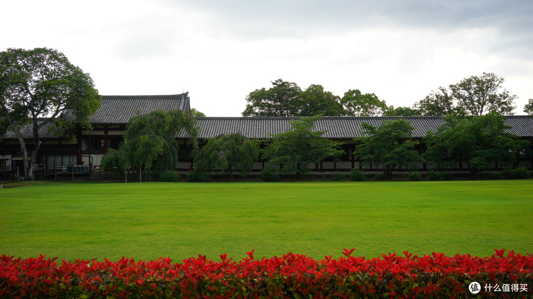 关西打卡—京都|奈良|大阪
