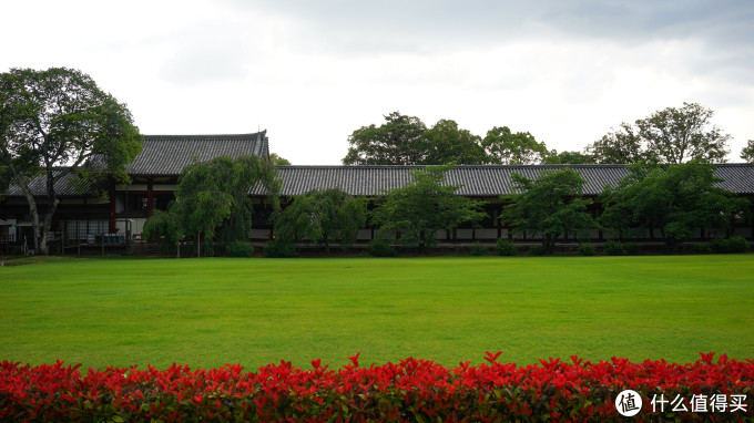 关西打卡—京都|奈良|大阪