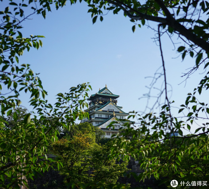关西打卡—京都|奈良|大阪