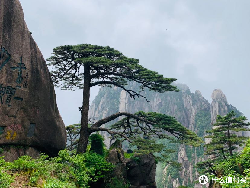 走对路线，就算节假日也是“人少景美”！黄山旅游攻略看这一篇就够了！