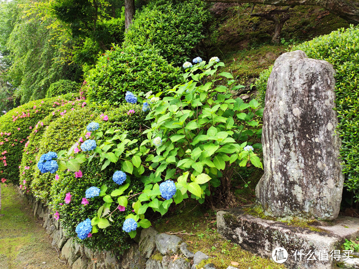 重走空海大师往返高野山之路——高野山町石道完走记录