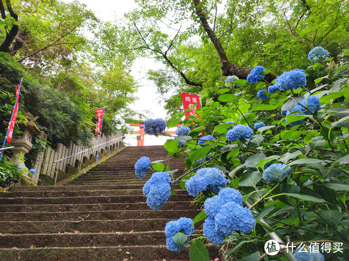 重走空海大师往返高野山之路——高野山町石道完走记录