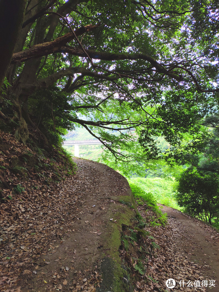 重走空海大师往返高野山之路——高野山町石道完走记录