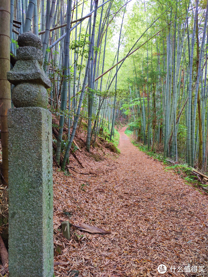 重走空海大师往返高野山之路——高野山町石道完走记录