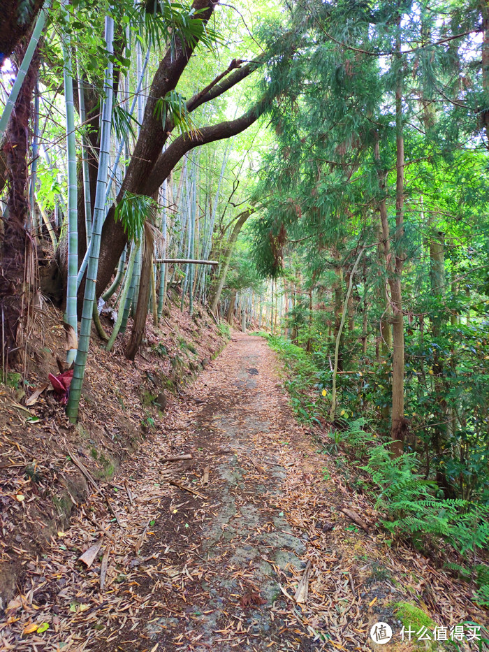 重走空海大师往返高野山之路——高野山町石道完走记录