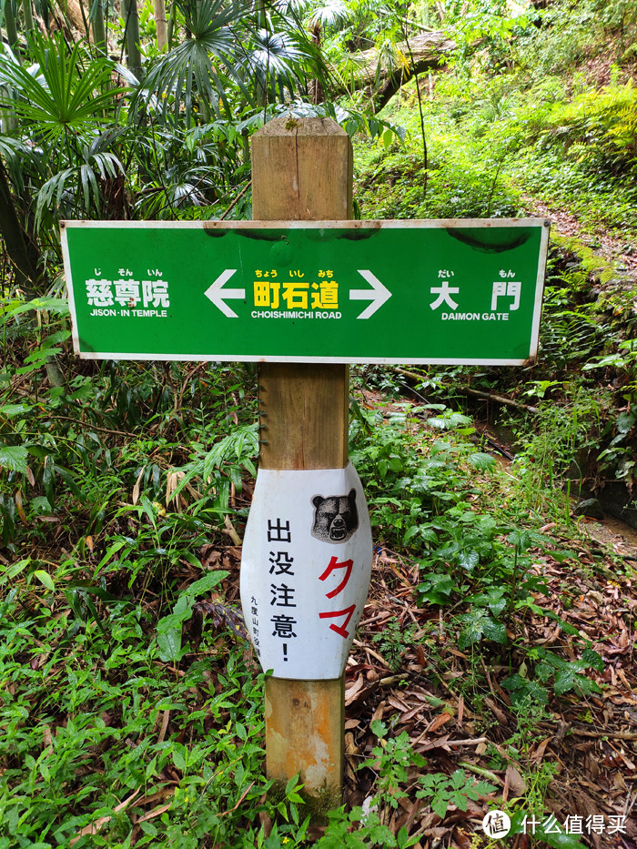 重走空海大师往返高野山之路——高野山町石道完走记录