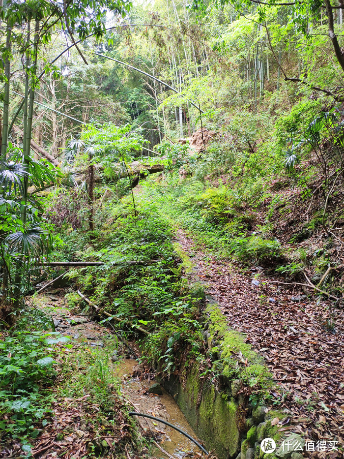 重走空海大师往返高野山之路——高野山町石道完走记录