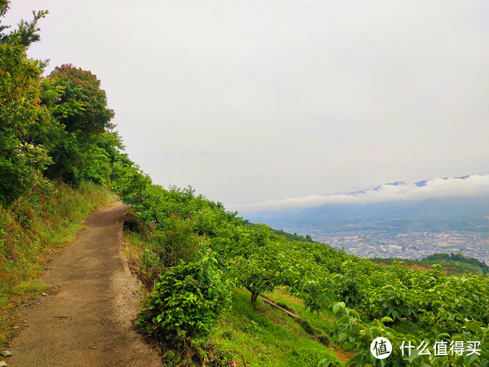 重走空海大师往返高野山之路——高野山町石道完走记录