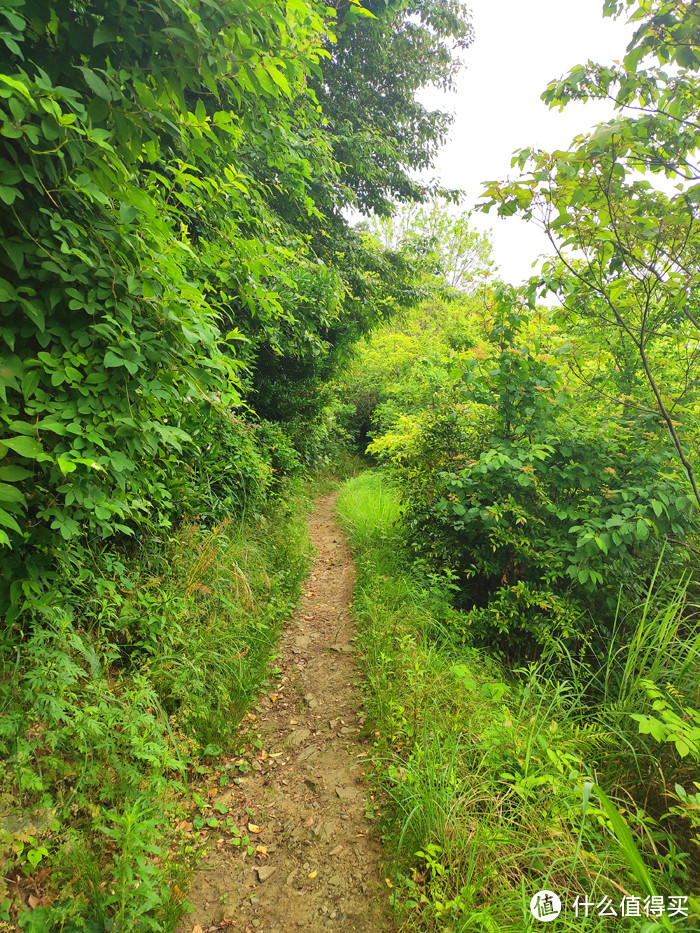 重走空海大师往返高野山之路——高野山町石道完走记录