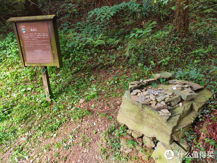 重走空海大师往返高野山之路——高野山町石道完走记录