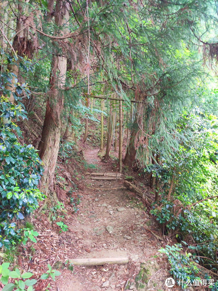 重走空海大师往返高野山之路——高野山町石道完走记录