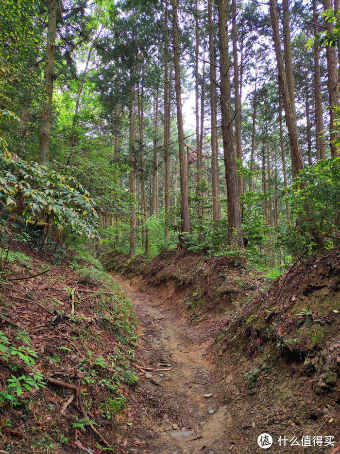 重走空海大师往返高野山之路——高野山町石道完走记录