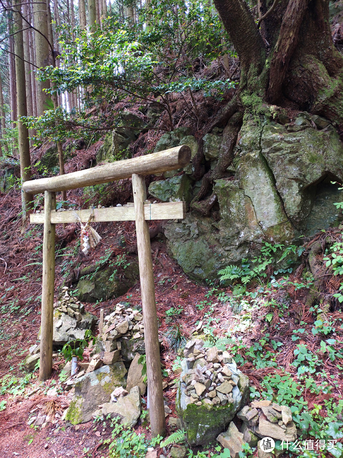 重走空海大师往返高野山之路——高野山町石道完走记录