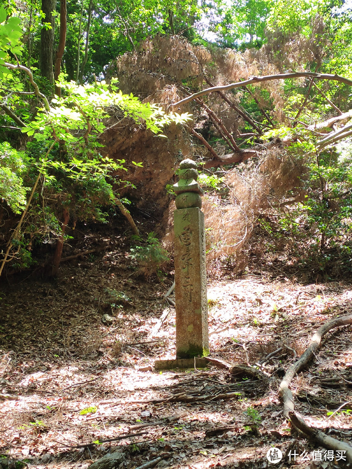 重走空海大师往返高野山之路——高野山町石道完走记录