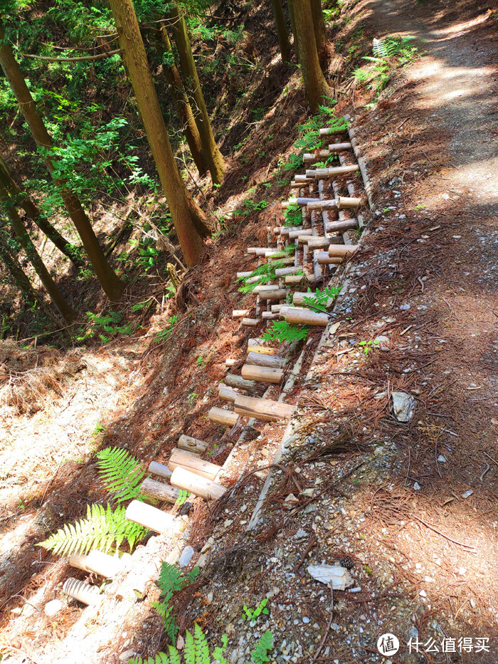 重走空海大师往返高野山之路——高野山町石道完走记录