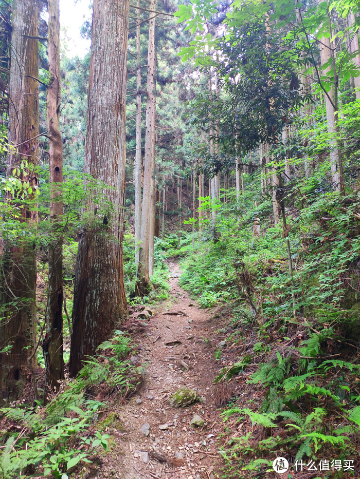 重走空海大师往返高野山之路——高野山町石道完走记录