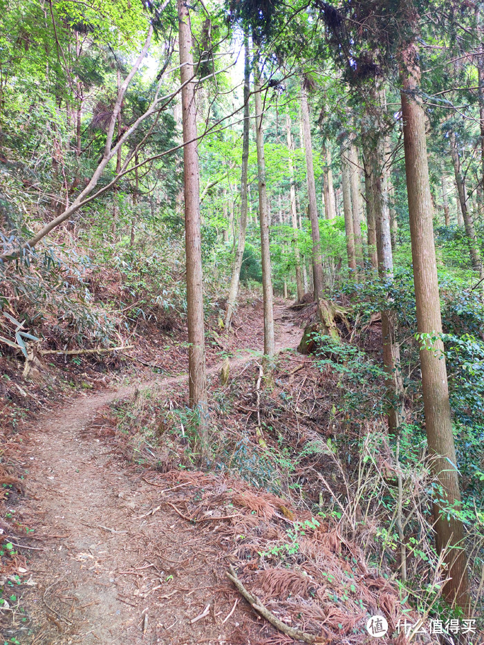 重走空海大师往返高野山之路——高野山町石道完走记录