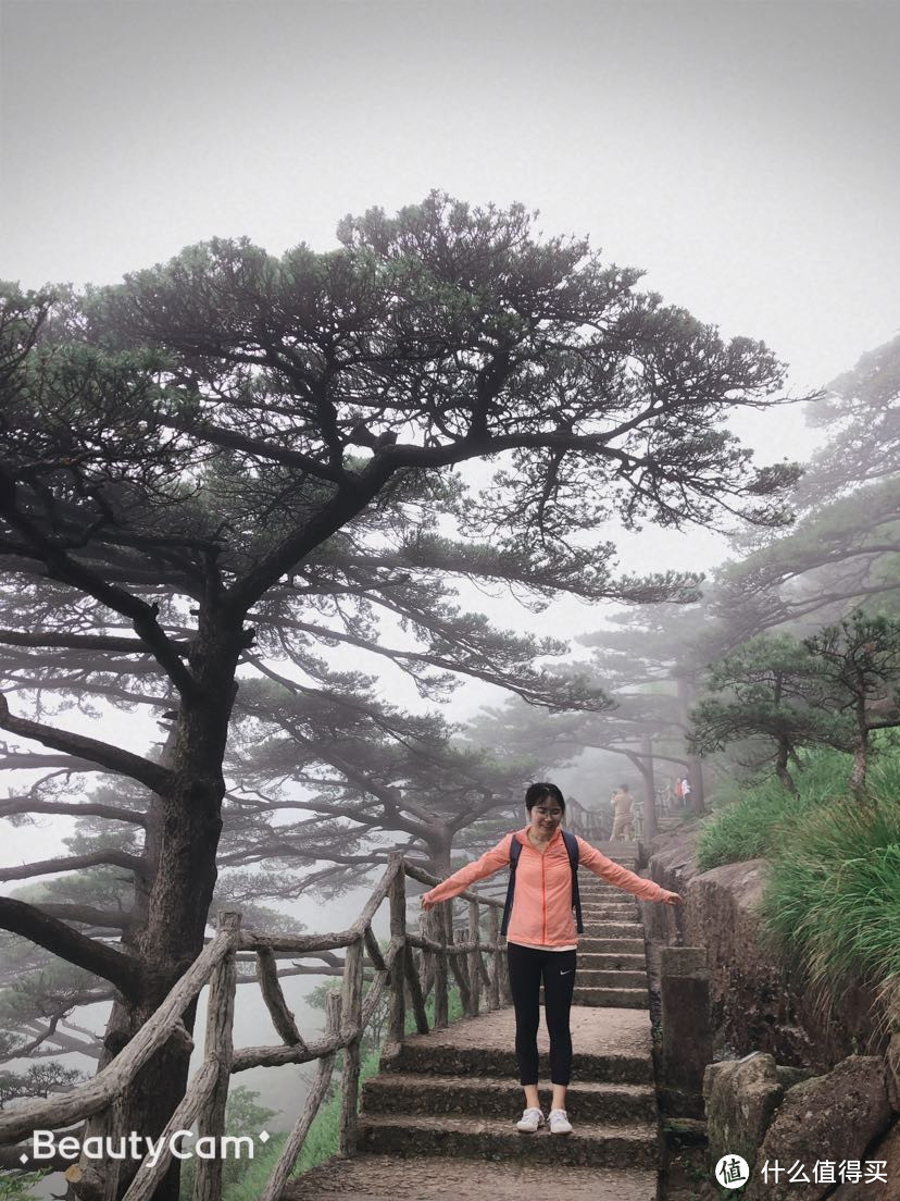 🌫️雾中西海大峡谷某处