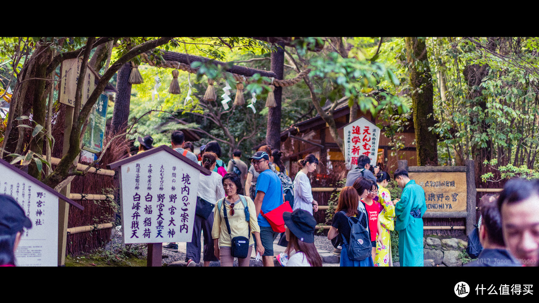 故地重游，漫步嵯峨野