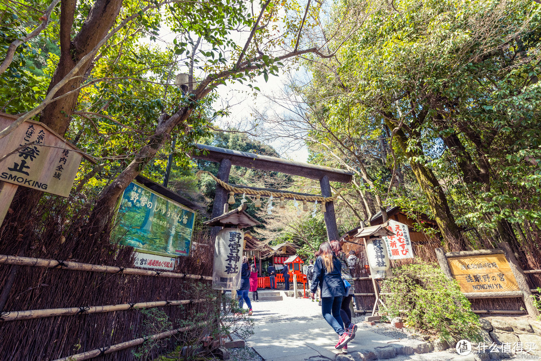 故地重游，漫步嵯峨野