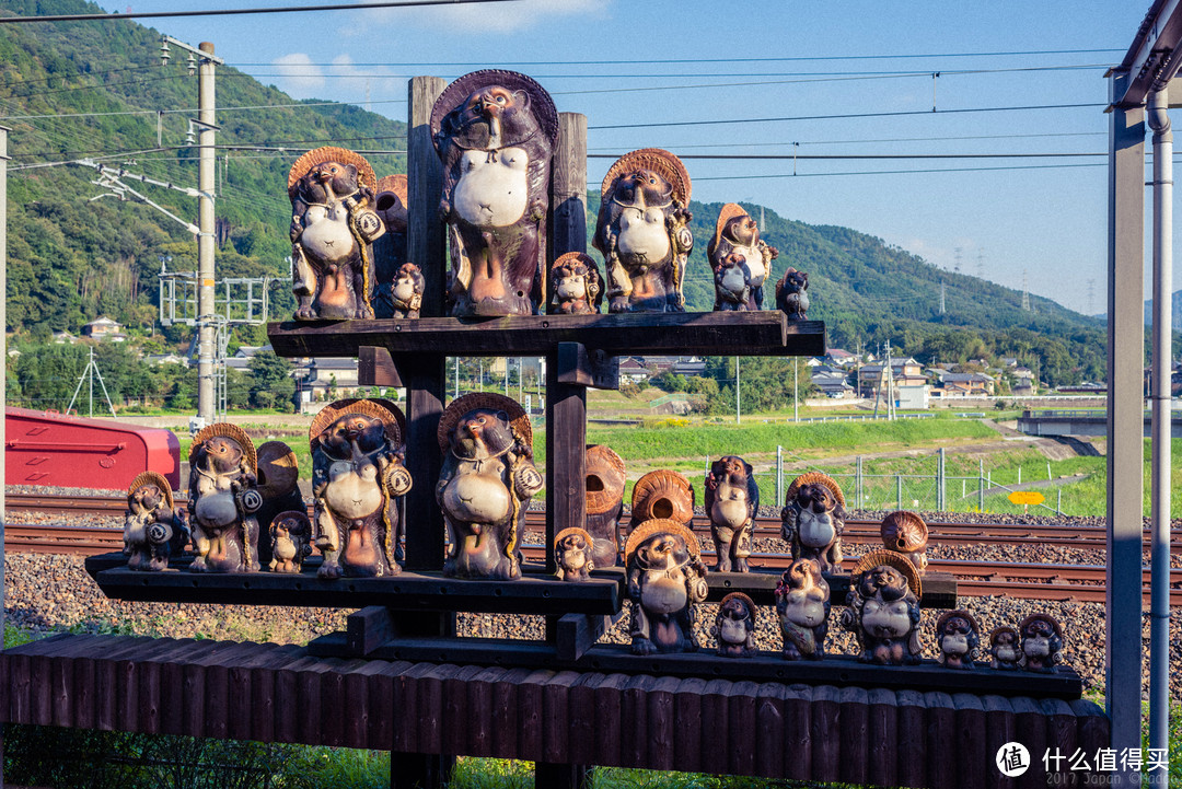 故地重游，漫步嵯峨野