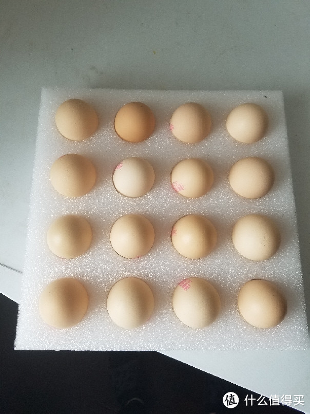 大小适中 比较干净